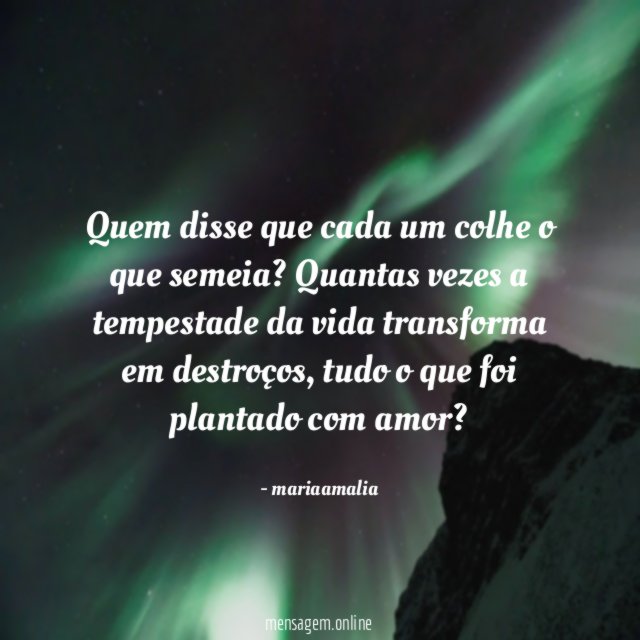 Quem disse que cada um colhe o que semeia
