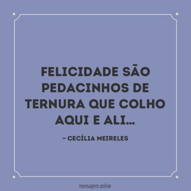 Felicidade são pedacinhos de ternura que colho aqui e ali