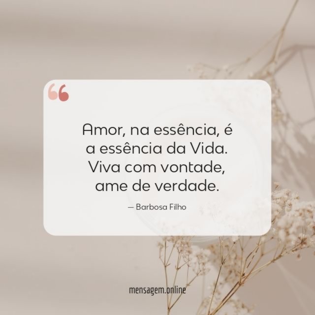 Amor