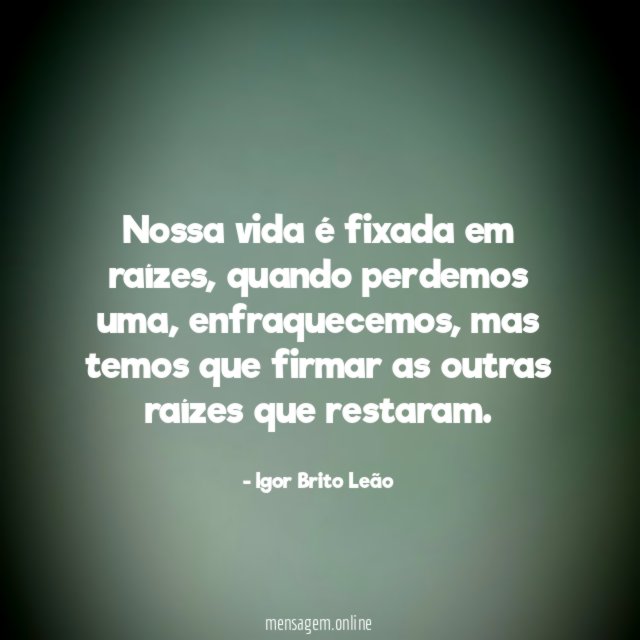Nossa vida é fixada em raízes
