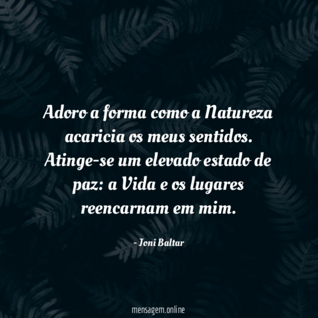 Adoro a forma como a Natureza acaricia os meus sentidos