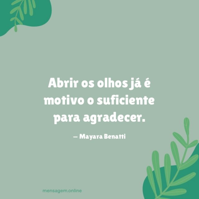 Abrir os olhos já é motivo o suficiente para agradecer