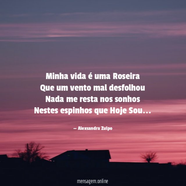 Minha vida é uma Roseira Que um vento mal