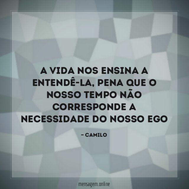 A vida nos ensina a entendê-la