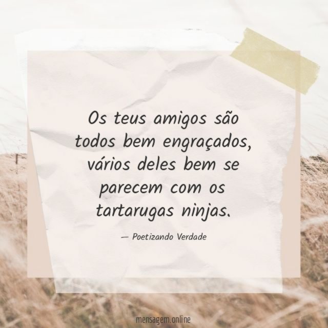Os teus amigos são todos bem engraçados