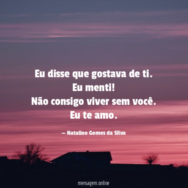 Eu disse que gostava de ti