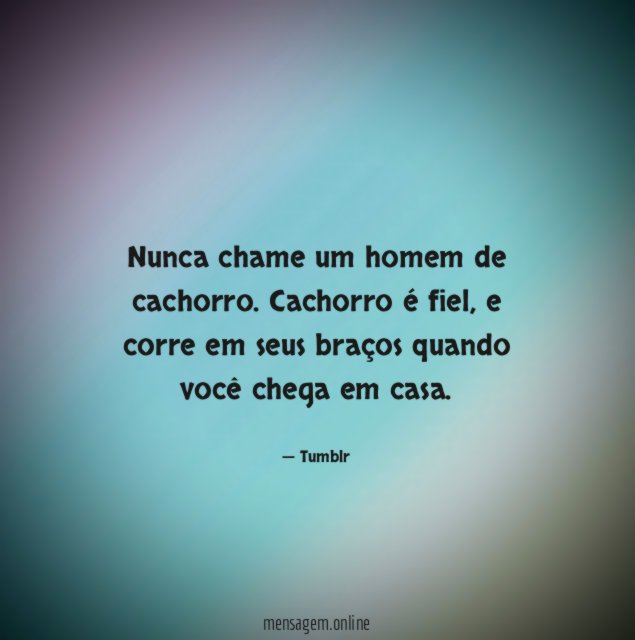 Nunca chame um homem de cachorro