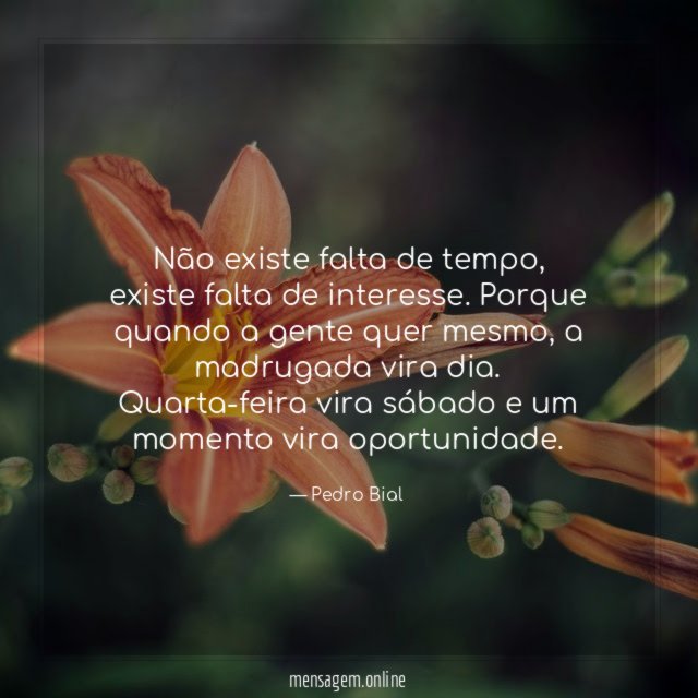 Não existe falta de tempo
