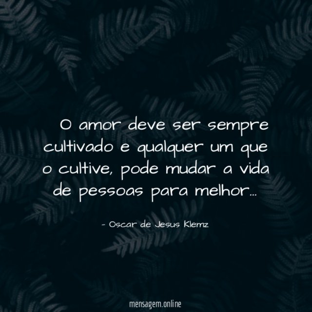 ” O amor deve ser sempre cultivado e qualquer um que o cultive