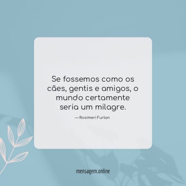 Se fossemos como os cães