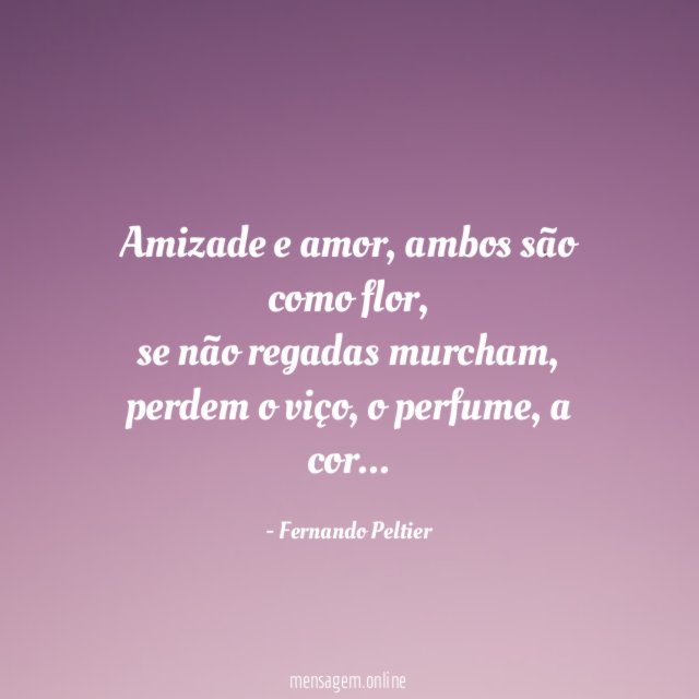 Amizade e amor