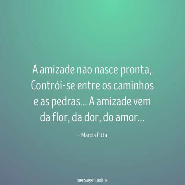 A amizade não nasce pronta
