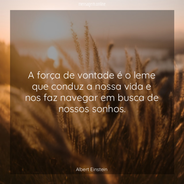 A força de vontade é o leme que