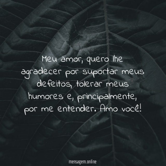 Meu amor