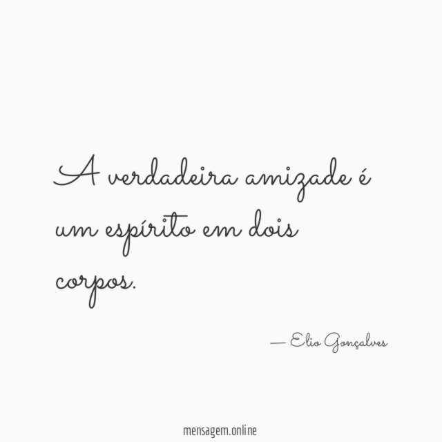 A verdadeira amizade é um espírito em dois corpos