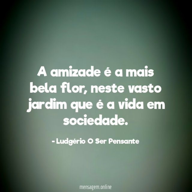 A amizade é a mais bela flor