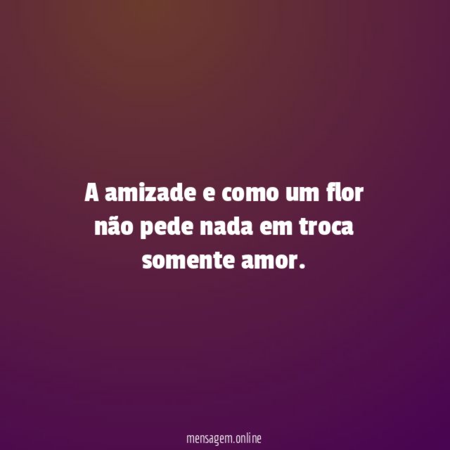 A amizade e como um flor não pede