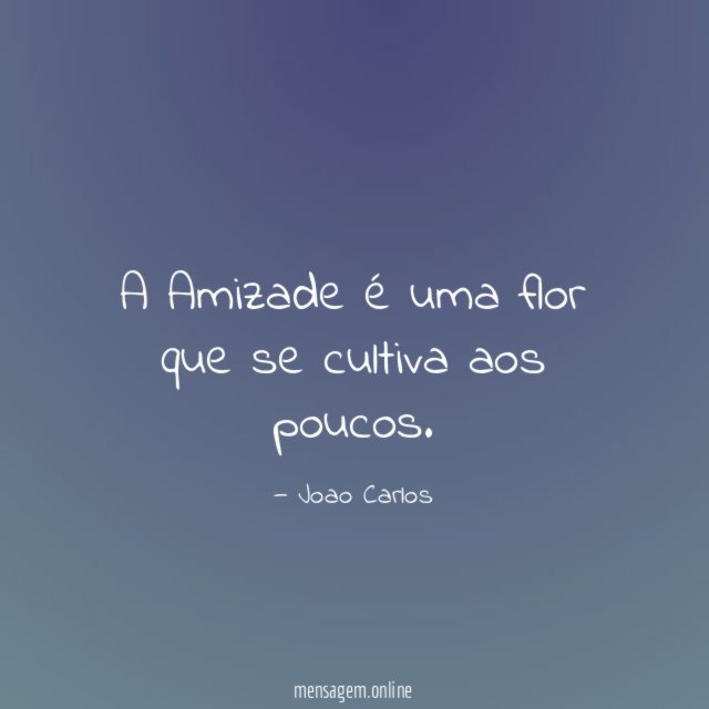 A Amizade é uma flor que se cultiva aos poucos
