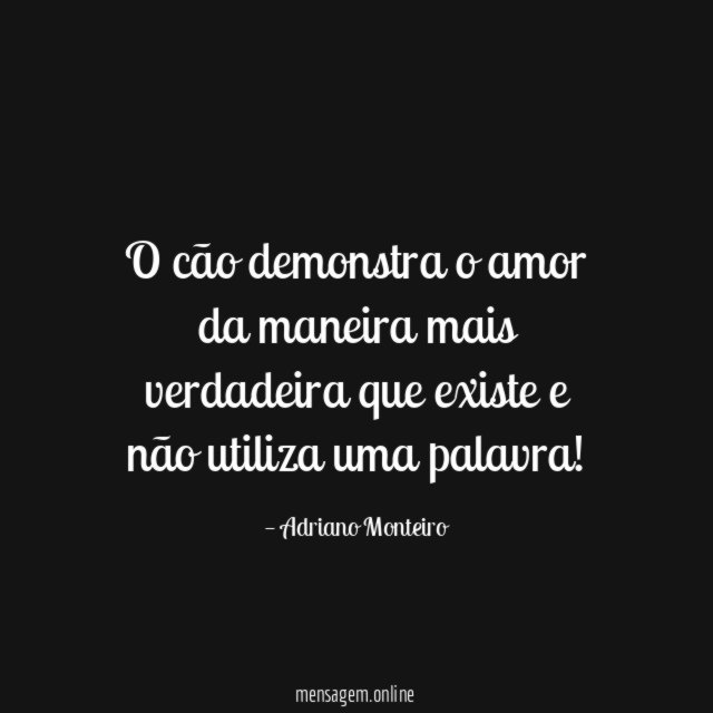 O cão demonstra o amor da maneira mais