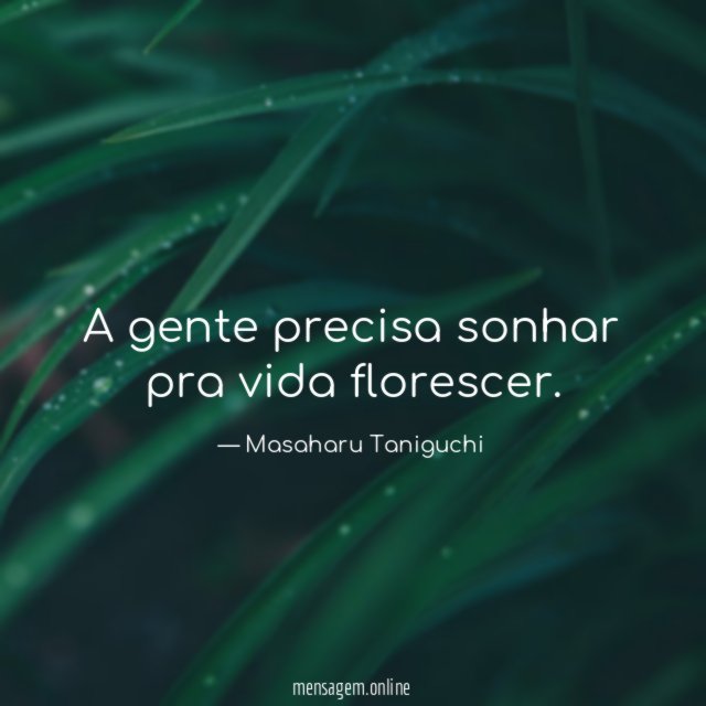 A gente precisa sonhar pra vida florescer