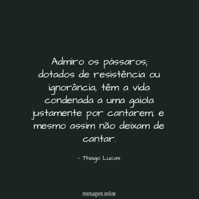 Admiro os pássaros