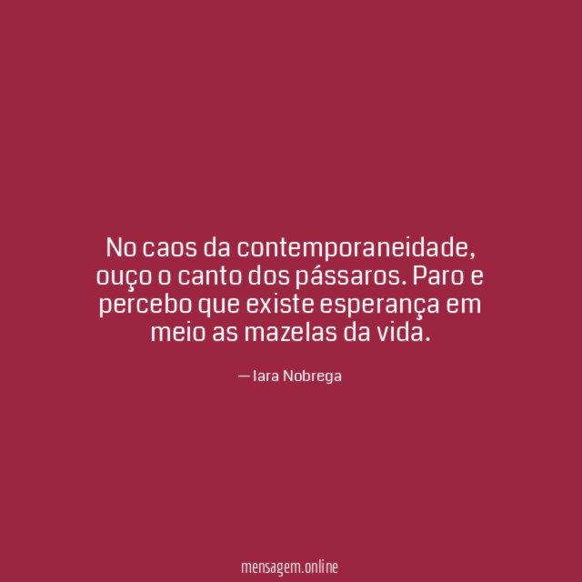 No caos da contemporaneidade