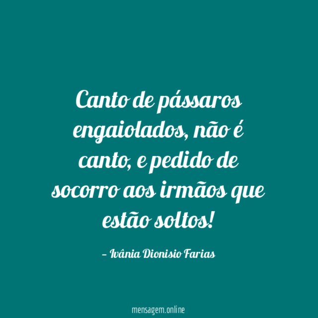 Canto de pássaros engaiolados