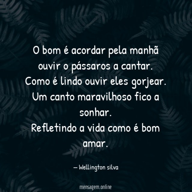 O bom é acordar pela manhã ouvir o pássaros a cantar