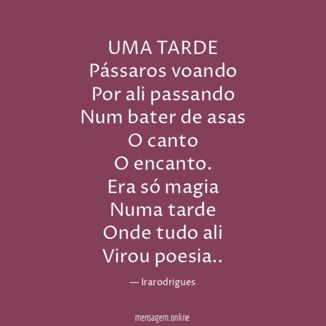 UMA TARDE
