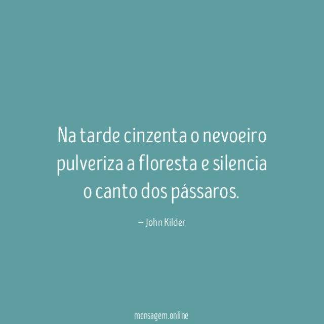 Na tarde cinzenta o nevoeiro pulveriza a floresta