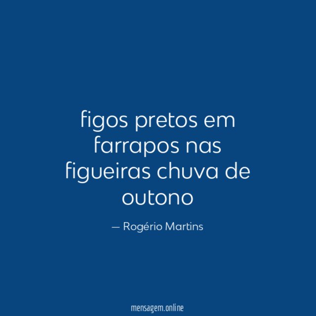 figos pretos em farrapos nas figueiras chuva de outono