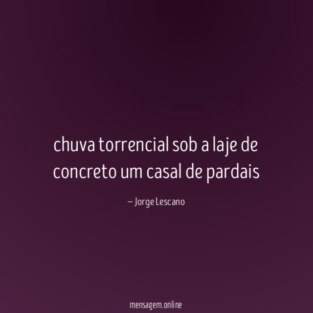 chuva torrencial sob a laje de concreto um casal de pardais