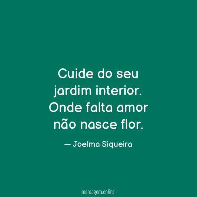 Cuide do seu jardim interior