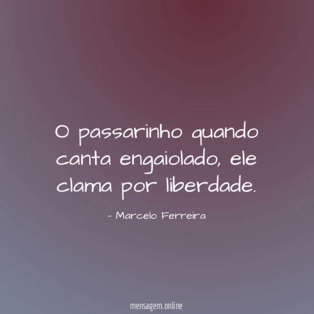 O passarinho quando canta engaiolado
