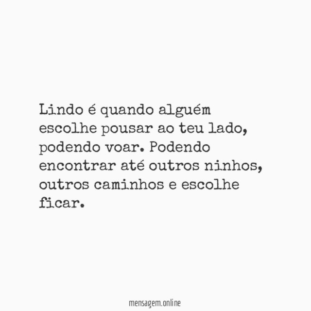 Lindo é quando alguém escolhe pousar ao teu lado