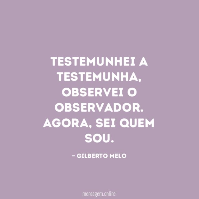 Testemunhei a testemunha, observei o observador.