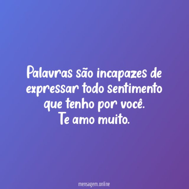 Palavras são incapazes de expressar todo sentimento que tenho por você