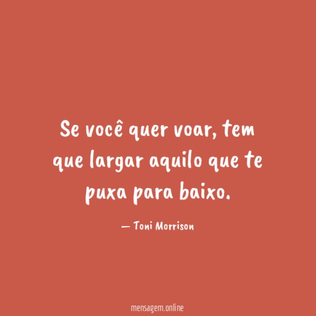 Se você quer voar