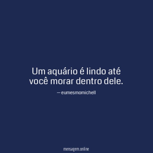 Um aquário é lindo até você morar dentro dele