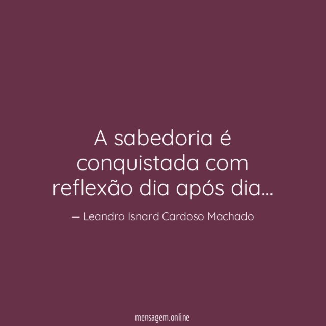 A sabedoria é conquistada com reflexão dia após dia