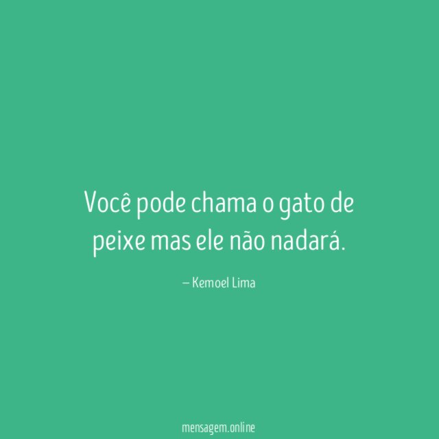 Você pode chama o gato de peixe mas ele não nadará