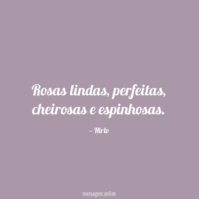 Rosas lindas