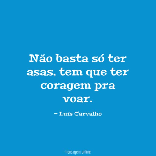 Não basta só ter asas