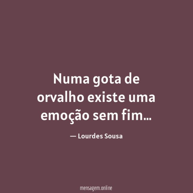 Numa gota de orvalho existe uma emoção sem fim