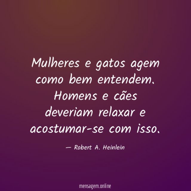 Mulheres e gatos agem como bem entendem