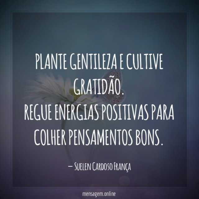 Plante gentileza e cultive gratidão