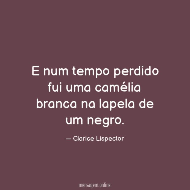 E num tempo perdido fui uma camélia branca