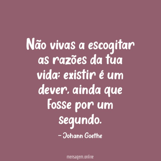 Não vivas a escogitar as razões da tua vida