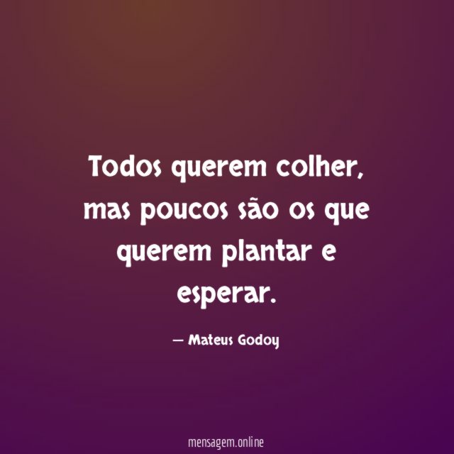 Todos querem colher