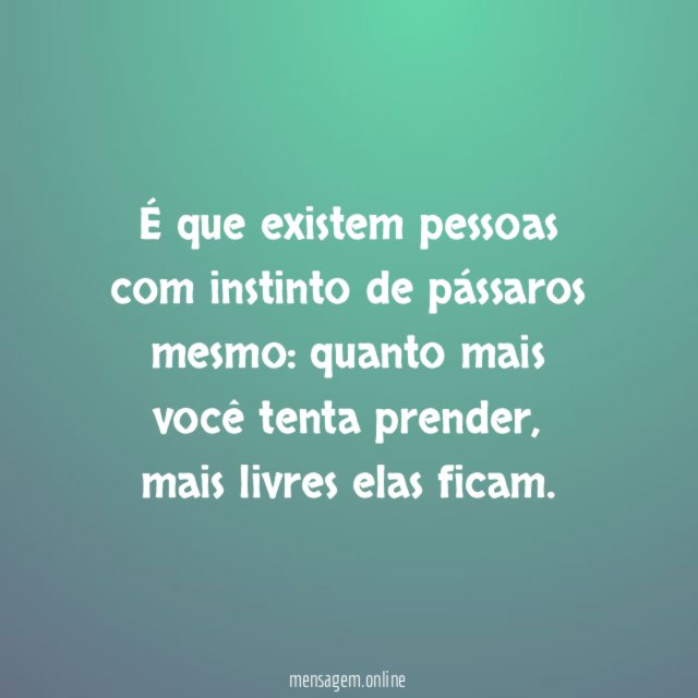 É que existem pessoas com instinto de pássaros mesmo
